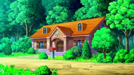Pensione Pokémon Unima anime.png