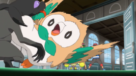 Ash Rowlet Azione.png