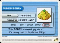 Pumkin Berry Battle e.jpg