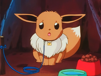 Mikey Eevee.png