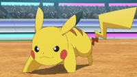 link = Pikachu di Ash