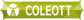 Coleottero
