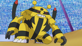 Paul Electivire.png