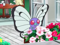 Butterfree ricorrente anime.png