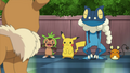 Chespin senza denti