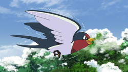 Goh Taillow.png