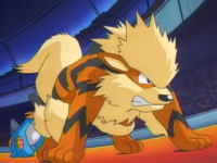 Tolomeo Arcanine.png